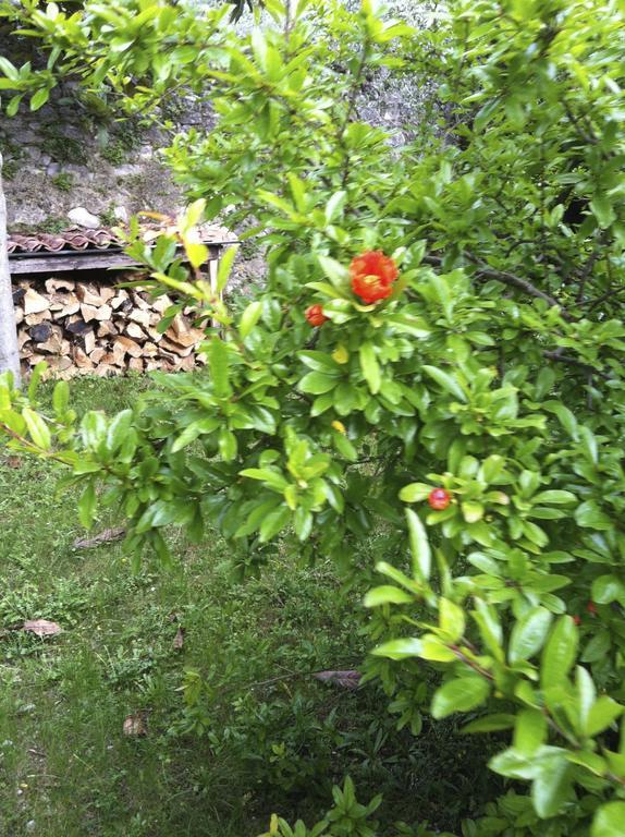 3 Rooms Apartment Whit Balcony And Lake Wiew Malcesine Eksteriør bilde